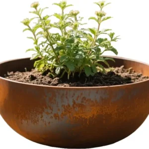 Corten Steel Series Round Bowl Planter